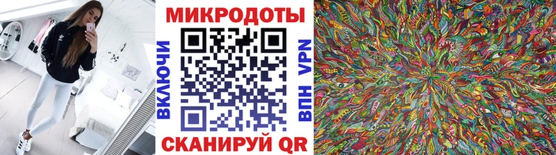 Псилоцибиновые грибы Psilocybine cubensis Майский